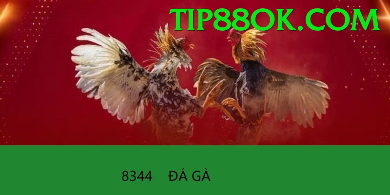 Đá Gà Trực Tiếp - tip88 - Cập nhật