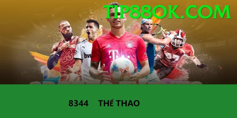 Cá Cược Thể Thao - Trải nghiệm tuyệt vời - Raid