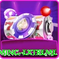 nn4 - Gaming Extreme